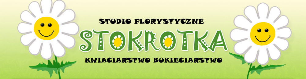 Stokrotka